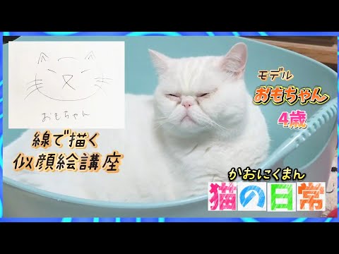 猫の顔は線で描ける【猫の日常】