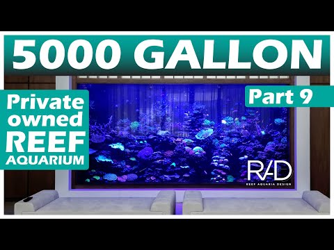 5000 GALLON REEF AQUARIUM IN FORT LAUDERDALE, FLORIDA BY REEF AQUARIA DESIGN. PART 9