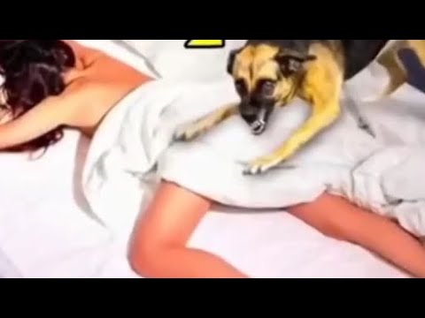 SHE SLEPT WITH HER DOG PART 1-3