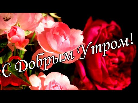 С ДОБРЫМ УТРОМ  !🌼Желаю Самого Доброго Солнечного Утра!🌼  Шикарная Музыкальная открытка 🌼