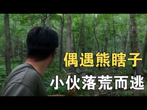 跑山人最怕啥？遇到黑瞎子应该怎么办？【913的乡野生活】