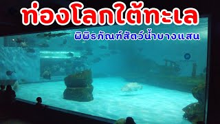 [เที่ยวบางแสนชลบุรี] Bangsaen Aquarium l Chonburi l พาลูกท่องโลกใต้ทะเล พิพิธภัณฑ์สัตว์น้ำบางแสน