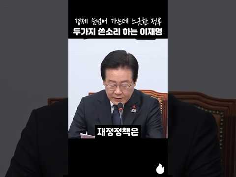 경제 숨넘어 가는데 느긋한 정부 두가지 쓴소리 하는 이재명 #이재명 #추경 #최상목