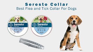 Seresto Collar : Best Flea and Tick Collar For Dogs