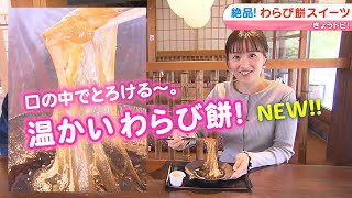 「こたつに入りながら食べたい」口の中でとろける！温かい 新感覚わらび餅！｜きょうトピ！（2024年11月19日放送）