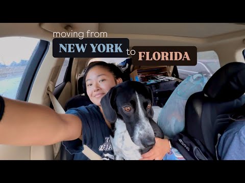 Moving from New York to Florida 🏝️ (by car) // Job Relocation 👩🏻‍💻 [從紐約搬到佛羅里達]