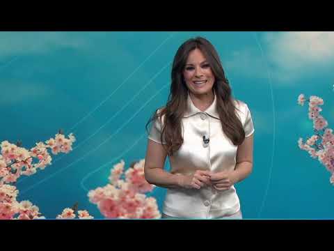 Mercedes Matin Stuns in Tiny Satin Dress | El tiempo Weather Report 31.7.2024