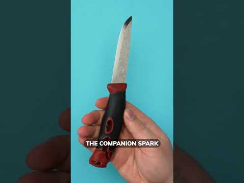 ALL VERSIONS of the Morakniv Companion 😮‍💨