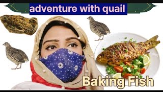 Baking Fish and Quail Adventure! 🐟🦆