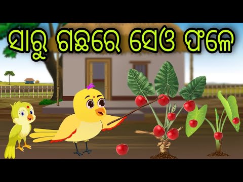 ସାରୁ ଗଛ ରେ ସେଓ ଫଳେ | Saru Gachha Re Seu Fale | Tiki Chadhei Gapa | Odia Chadhei Gapa | New Story