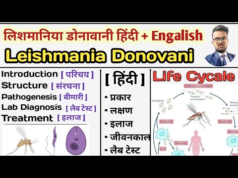 Leishmania Donovani | Kala azar | Life cycle of leishmania Donovani | Parasitology | Microbiology