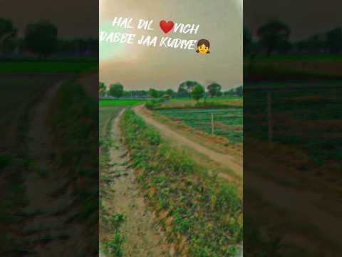 MERE KOTIYA KAARA #farming #nature #farminglife #trendingshorts #shorts #youtubeshorts #viralshort