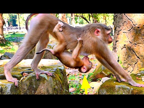 Young Mum Lauy tries to Reject Feed Milk to Poor Baby LEXI Because Baby Lexi Needs More Milk.