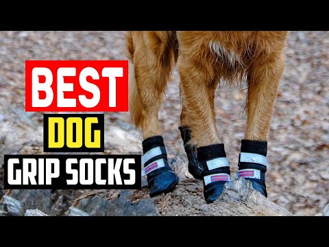 ✅Best Dog Grip Socks