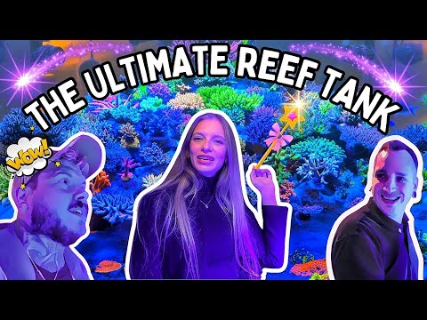 Is This The Best Saltwater Aquarium In The World? | Maras Reef | Germany 2024