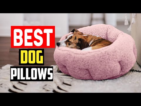 ✅Top 5 Best Dog Pillows in 2024