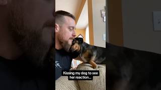 kiss your dog and see their reaction#dog #dogs #dogsoftiktok#doglover #funny #funnydogs #cute