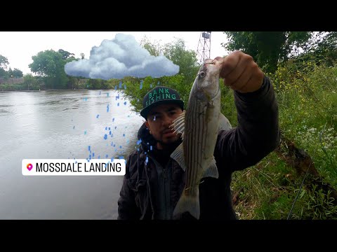 Striper Fishing In The Delta During A Storm- Mossdale Landing #fishing #bankfishing #delta #new #fun