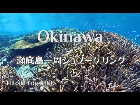 シュノーケリング@沖縄 Snorkering Around Sesoko Island | Okinawa Oct. 2020