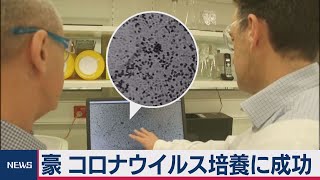 オーストラリアで新型コロナウイルス培養成功