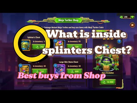 Best Buys Turtle Shop, What is inside Splinters Chest? Hero Wars Dominion Era