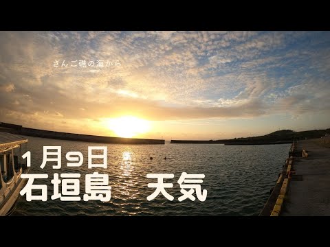 【石垣島天気】1月9日7時ごろ。15秒でわかる今日の石垣島の様子。