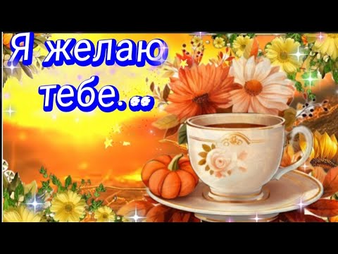 Пускай вера, надежда и любовь сопровождают тебя весь день! 💫🧚‍♂️❤#МУЗЫКАЛЬНАЯОТКРЫТКА #Хорошегодня