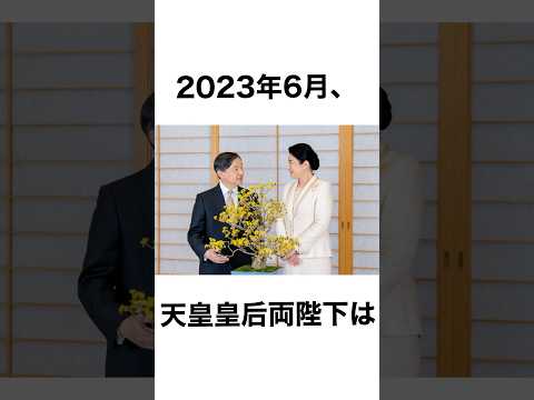 天皇陛下と雅子様の30年