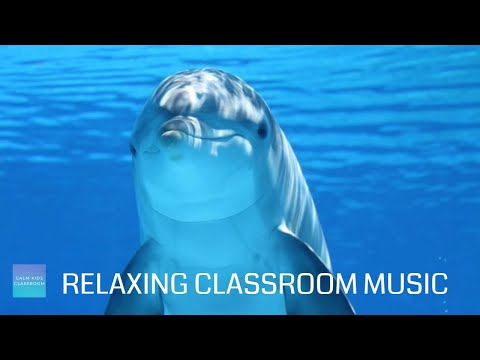 Relaxing Music For Classroom Work - Dolphin sounds, calming classroom music for children and study