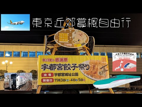 [日本東京近郊賞楓6日自由行]桃園機場捷運、桃園機場、虎航、成田空港、成田特快NEX、東京車站、東北新幹線、宇都宮車站、宇都宮餃子|換票排隊太久差一點沒有車|Vlog Day 1