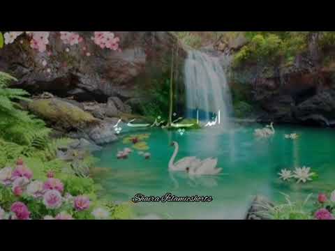 "Allah" Taala Ne Farishton Se Farmaya 🥀 | Islamic WhatsApp Status |