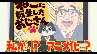 B1- 『ねこに転生したおじさん』アニメ化決定でPV公開 10月よりフジ「ぽかぽか」内で放送