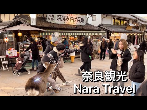 【Nara】Walking in Traditional Shopping Street , Gift Shops & Restaurants 奈良観光 お土産屋