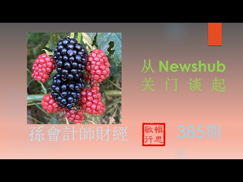 从News hub 关门谈起  【孫會計師財經周刊】第385 期 （2024.3.3）