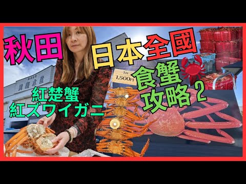 [日本 全國 食蟹🦀攻略 2] 紅楚蟹 紅ズワイガニ| 秋田 男鹿市| 秋田 日本海的雪蟹｜¥1500一隻｜低調 但 高CP值｜另一 必食 推介｜沿著 日本海 去食蟹｜男鹿水產｜縣內唯一紅楚蟹供應商