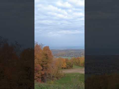 Canadian Fall Foliage #fallcolours #fall #foliage #nature #shorts #autumncolours