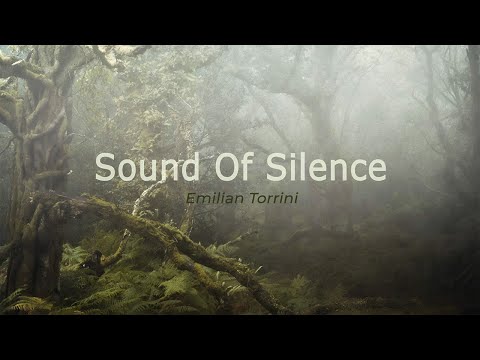 Emiliana Torrini - The Sound Of Silence With Lyrics  艾蜜莉亞娜·托里尼 -寂靜之聲 中英動態歌詞 | 好歌推薦 | 中英字幕