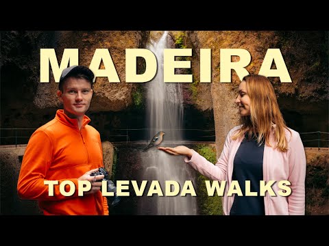 Madeira TOP 5 Levada Walks - Best Hiking Experience on Madeira