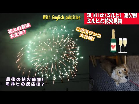 第67回ミルヒと花火見物  Watching Fireworks with Milch