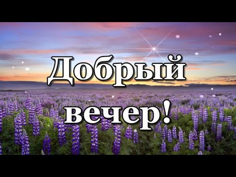 Добрый вечер! Пусть умчатся все печали в этот вечер!