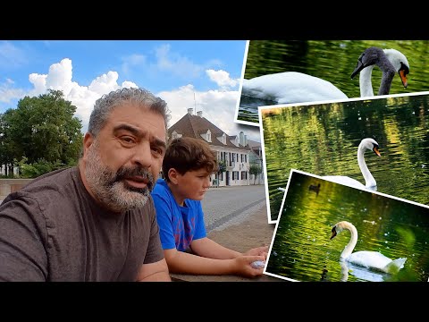 Spaziergang in Donaueschingen | Insta360 Go2 | Sony Alpha 6600