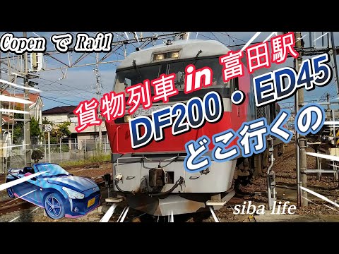 【貨物列車 in 三岐線・富田駅】DF200・ED50どこ行くの、 連結、警笛】作業、ジョイント音 Train 2024.11.23  siba life #貨物列車 #通貨 #ジョイント音 a