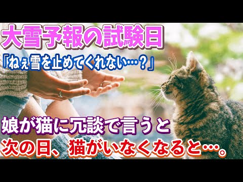 【不思議な話】雪の降る寒い日に拾った子猫はちょっと不思議な子でもあった…。ある日、受験を控えた娘が「ねえ雪降らないようにしてよ」と冗談で言うと次の日姿が消えとんでもない事が…【朗読】【猫】【感動】