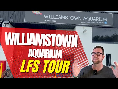 Marine LFS Tour - Williamstown Aquarium