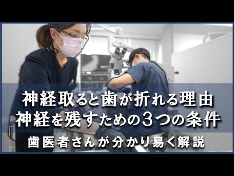 『 神経取るとなぜ歯は折れる理由＆歯の神経を残すための３つの条件 』を歯医者が分かり易く解説　＃歯医者