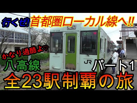 【全駅制覇シリーズ】八高線の全23駅制覇を目指してみた　パート1(鉄道旅行)