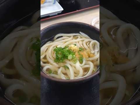 セルフの店亀城庵きじょうあん　かけ、ぶっかけ #さぬきうどん #さぬき市 #グルメ