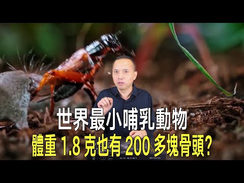 你相信嗎？全世界最小的哺乳動物僅重1 8克，也有200多塊骨頭，和200多噸的最大藍鯨數量差不多！