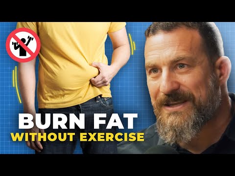 How to Burn 800+ Calories Per Day NO EXERCISE