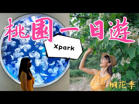 跟著丁小羽來趟悠閒的桃園一日遊走訪Xpark水族館、和窯文創園區賞桐花、名人堂花園大飯店&棒球名人堂(無人聲音樂版)